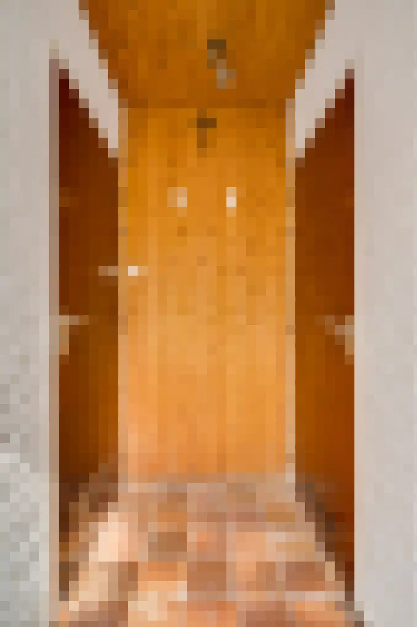 Minkenbergstraat 13 Beek thumbnail 33