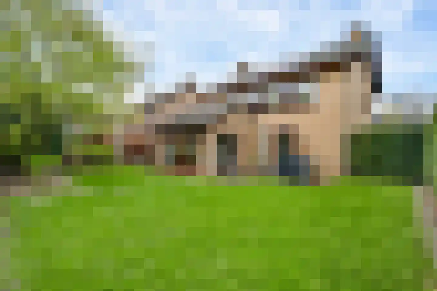 Minkenbergstraat 13 Beek thumbnail 39