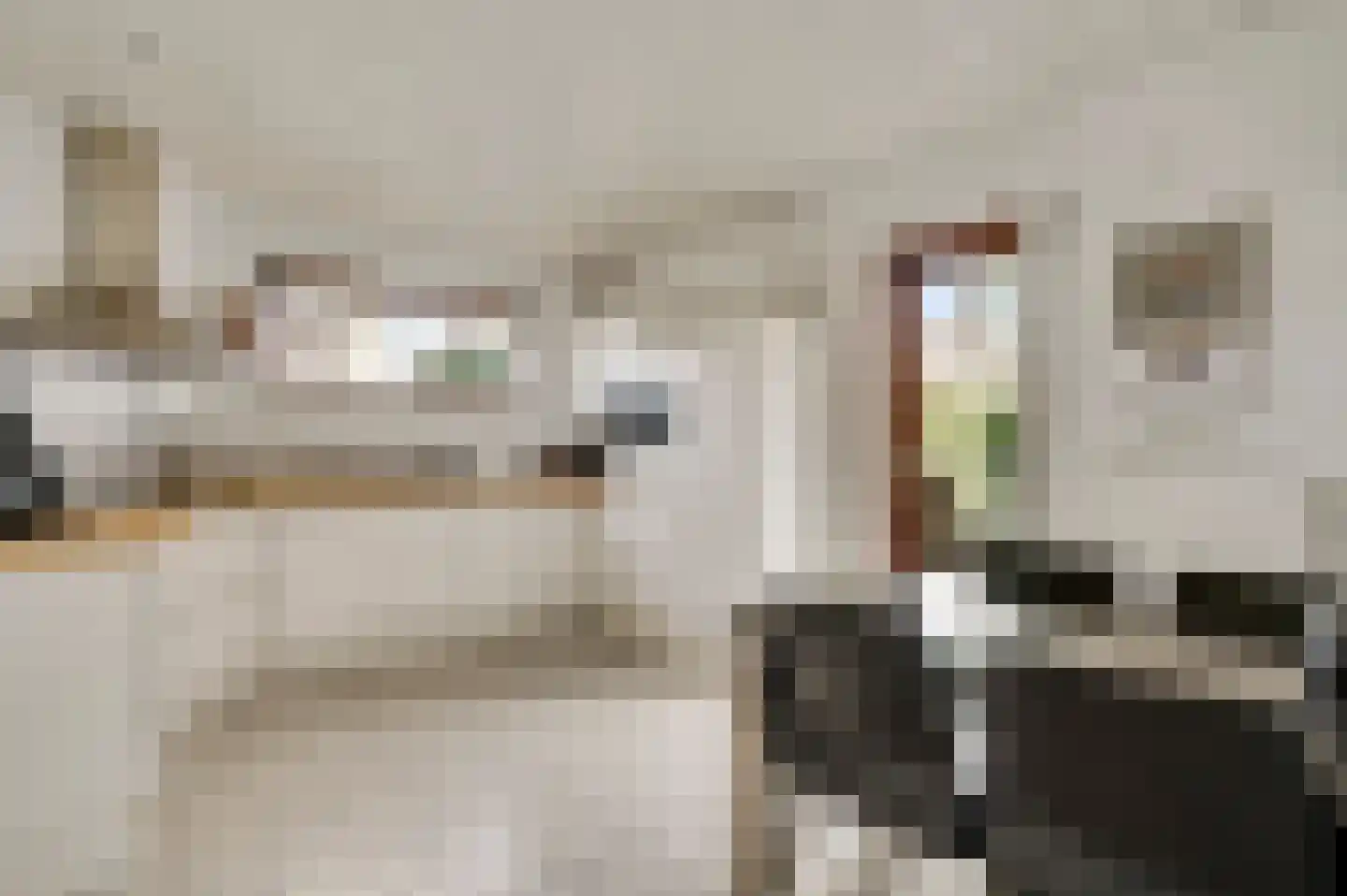Minkenbergstraat 13 Beek thumbnail 4