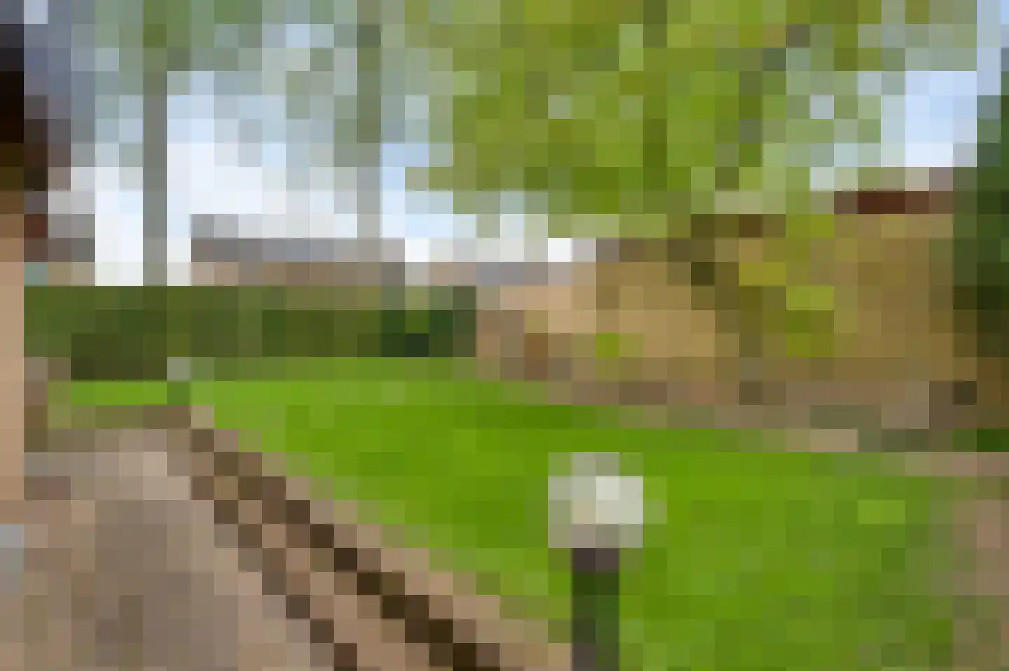 Minkenbergstraat 13 Beek thumbnail 44