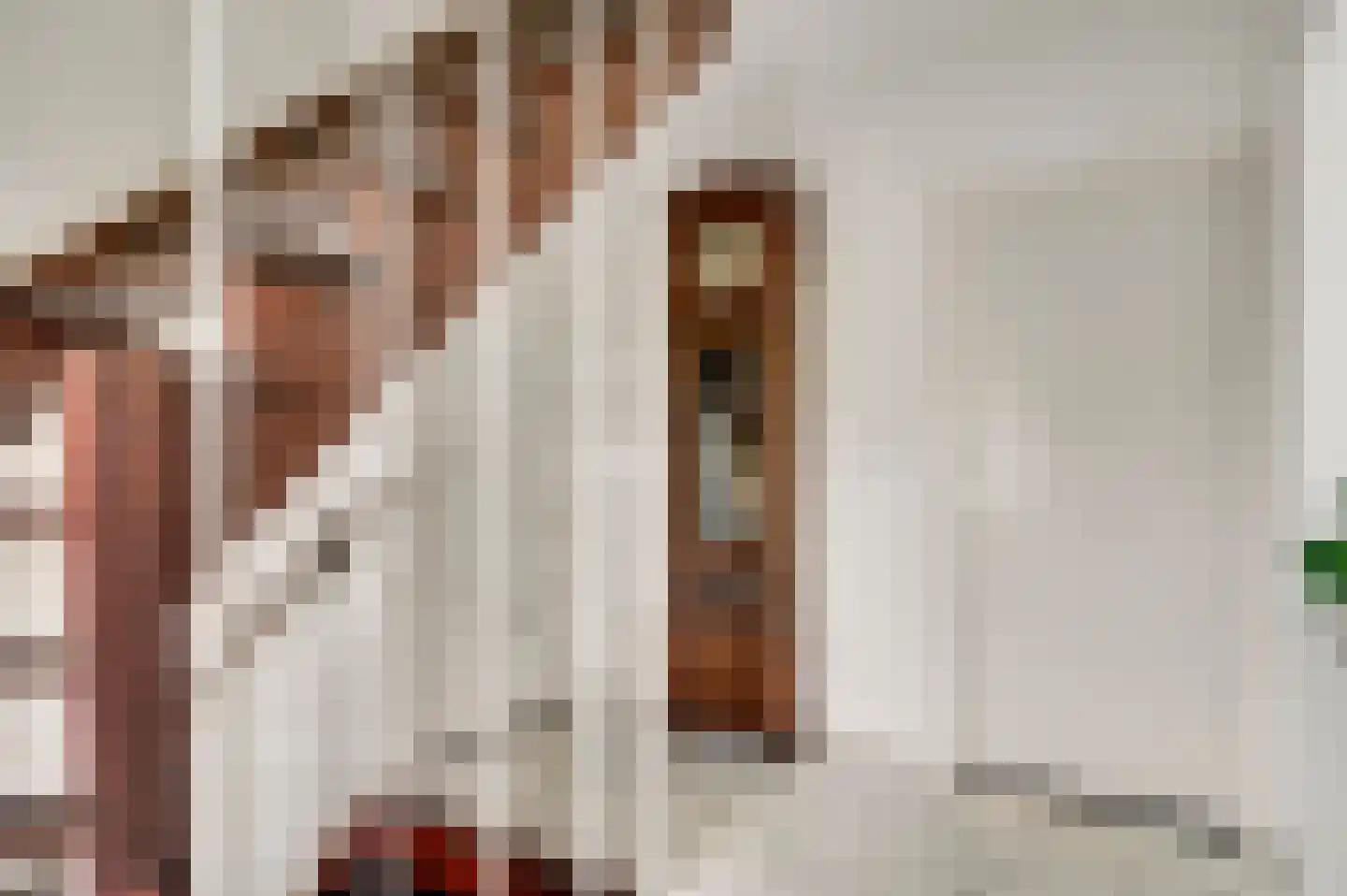 Minkenbergstraat 13 Beek thumbnail 7