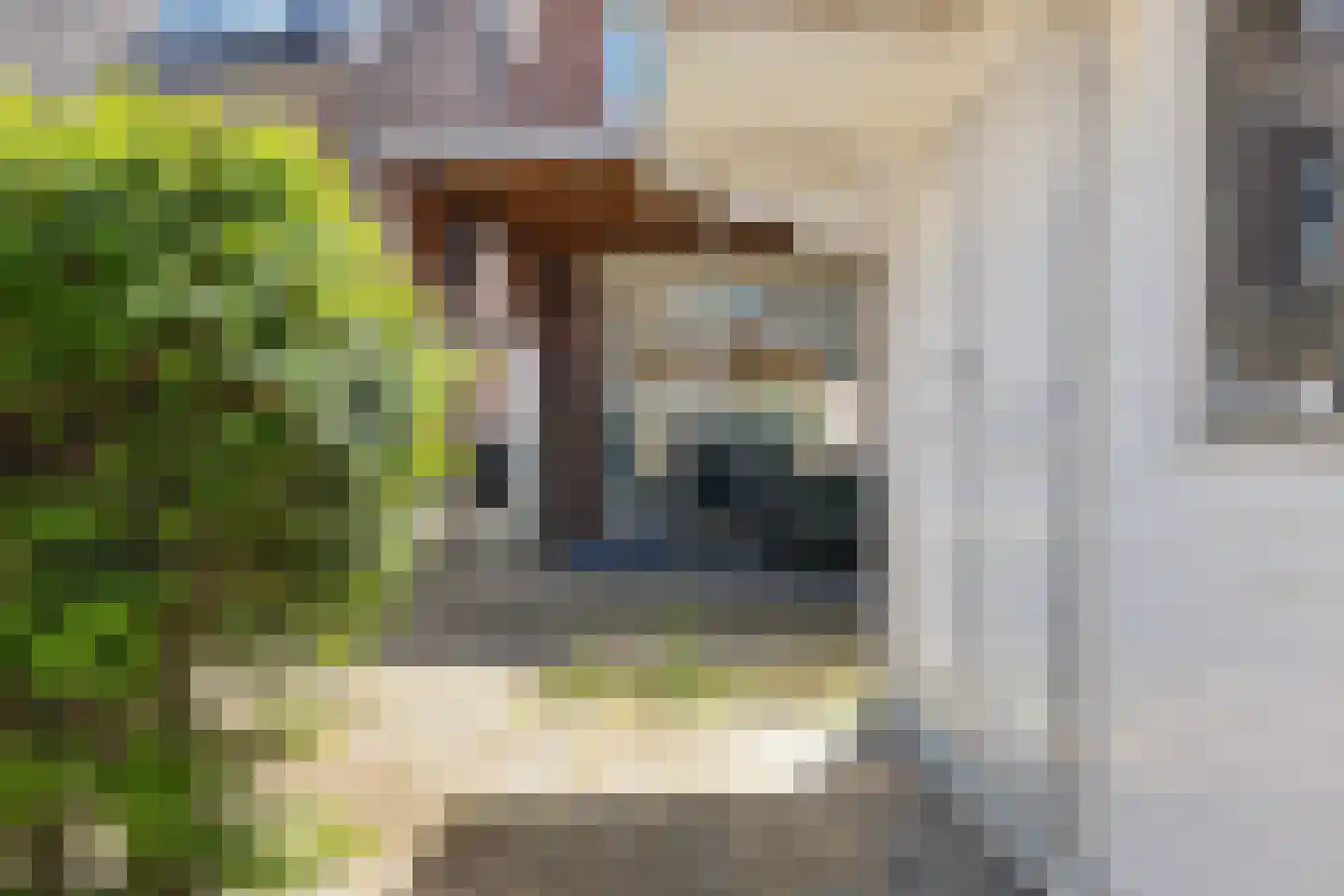 Minkmaatstraat 5 B Enschede thumbnail 31