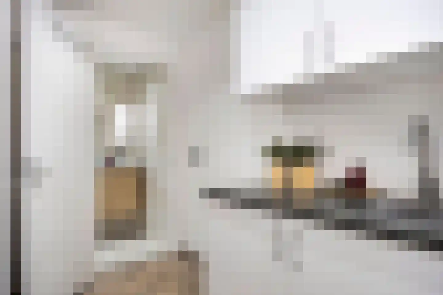 Minkmaatstraat 5 Enschede thumbnail 19