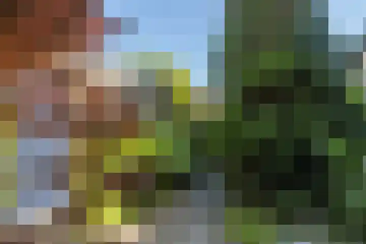 Minnaertweg 14 Dordrecht thumbnail 4