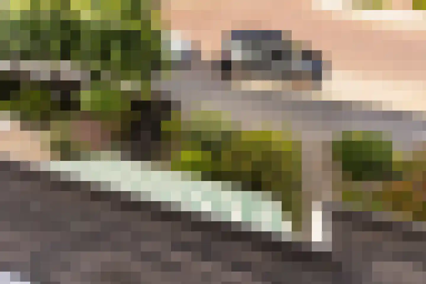 Minnaertweg 18 Dordrecht thumbnail 39