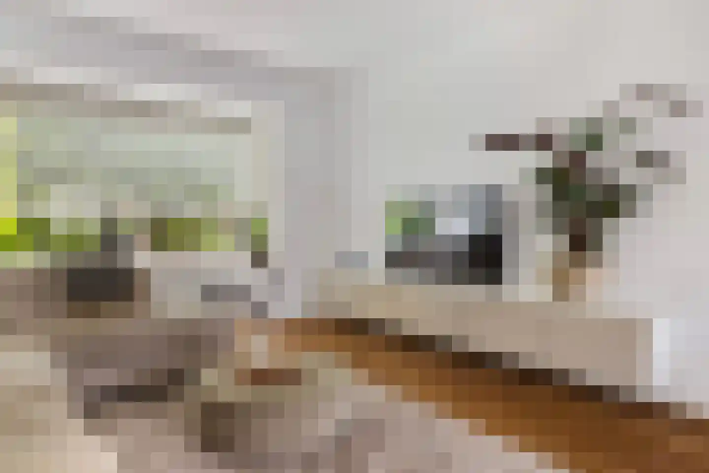 Minnaertweg 79 Dordrecht thumbnail 6