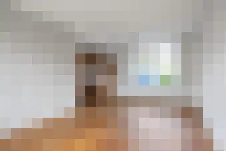 Minne Hofstrastraat 41 Franeker thumbnail 15