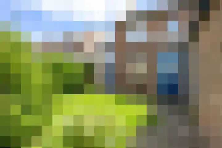 Minne Hofstrastraat 41 Franeker thumbnail 24