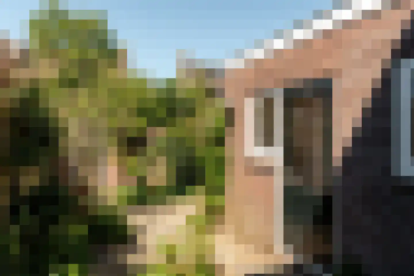Minne Hofstrastraat 42 Franeker thumbnail 29
