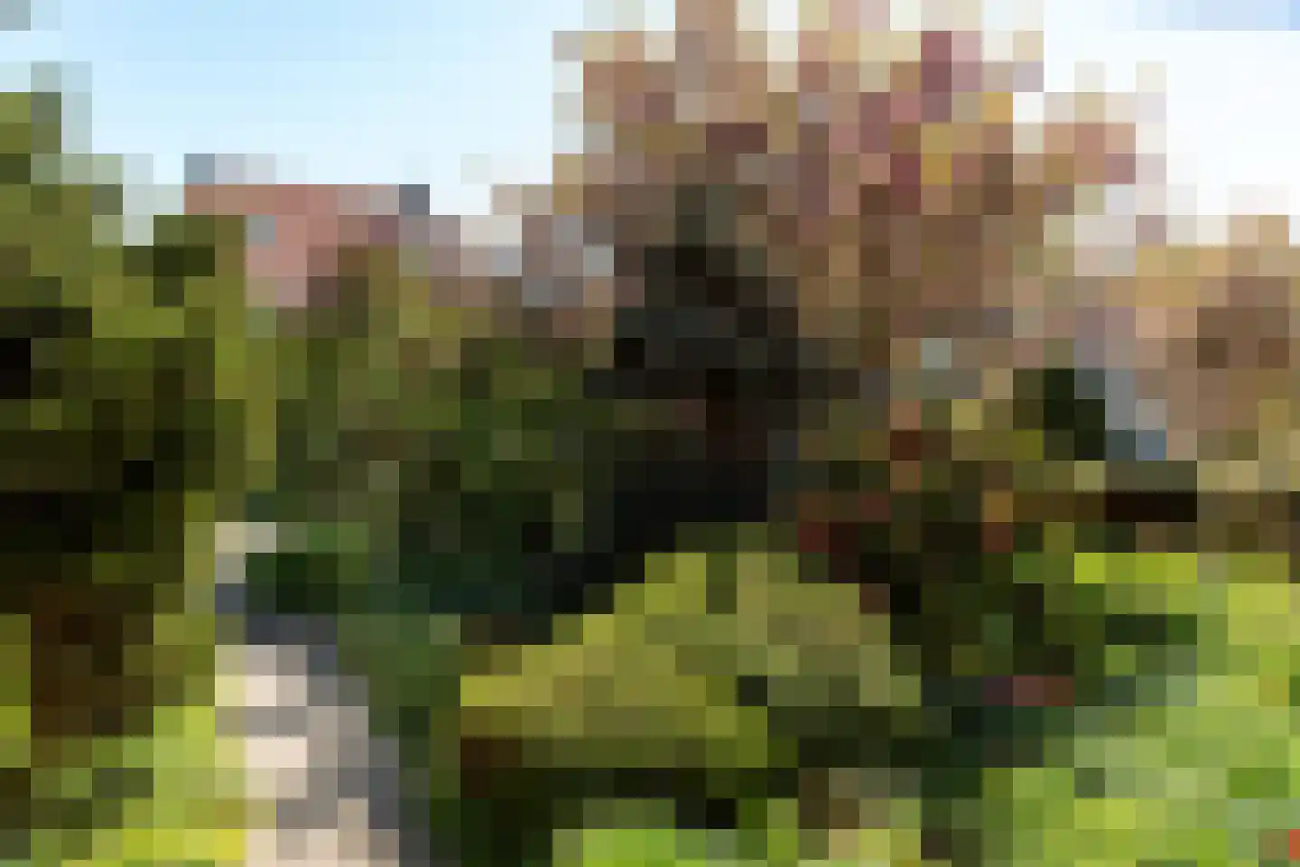 Minne Hofstrastraat 42 Franeker thumbnail 33