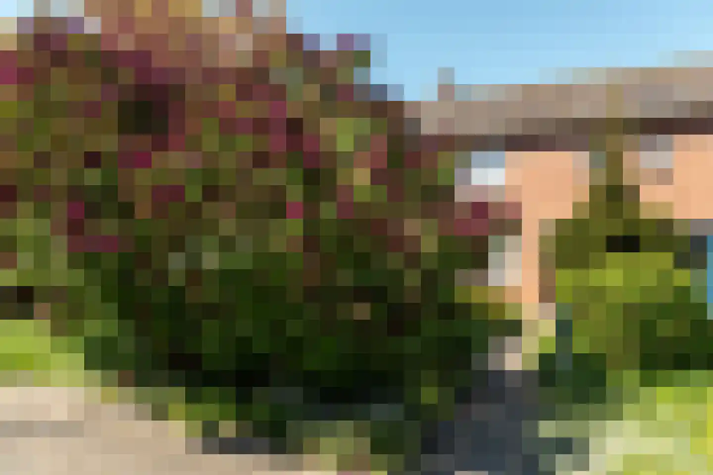 Minne Hofstrastraat 42 Franeker thumbnail 34