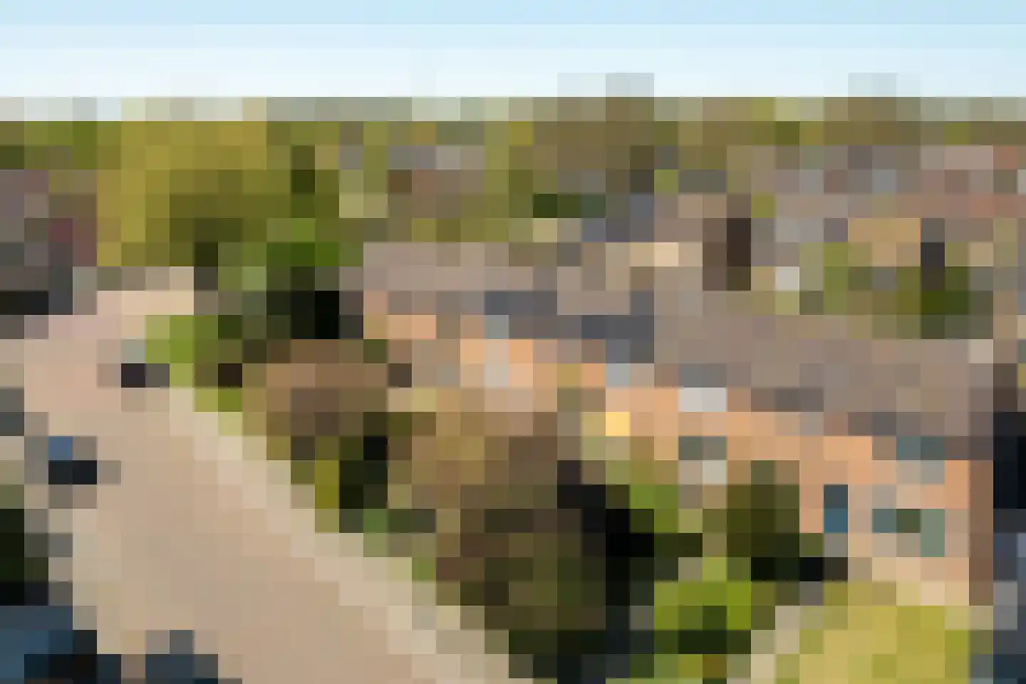 Minne Hofstrastraat 42 Franeker thumbnail 5