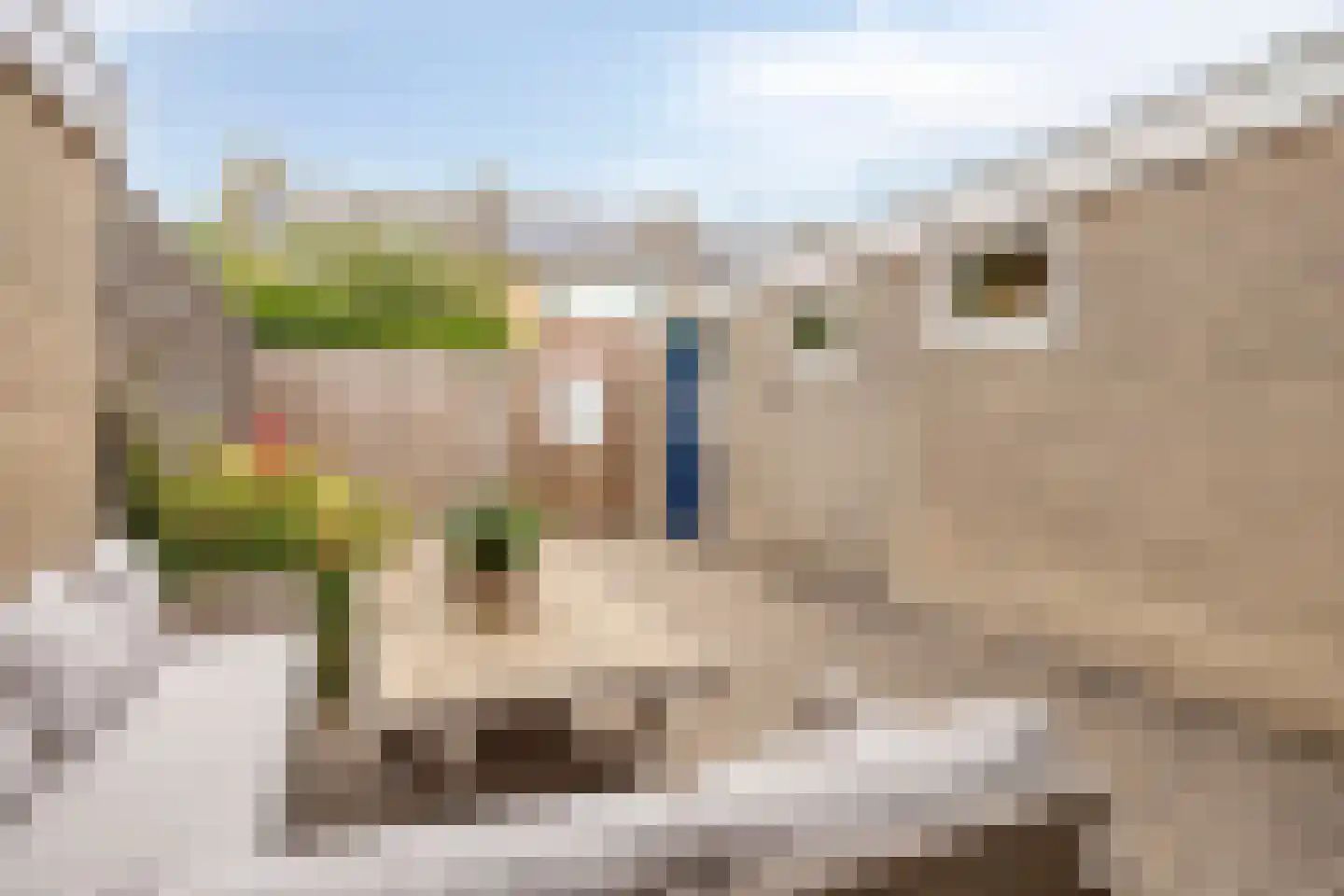 Minne Jeltesstrjitte 3 Balk thumbnail 27