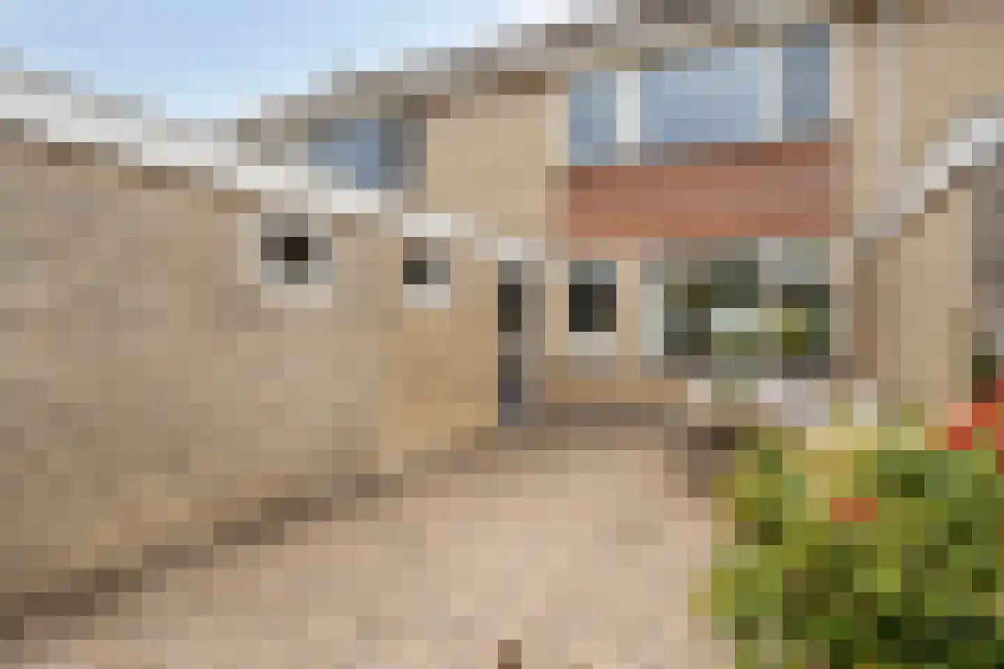 Minne Jeltesstrjitte 3 Balk thumbnail 28
