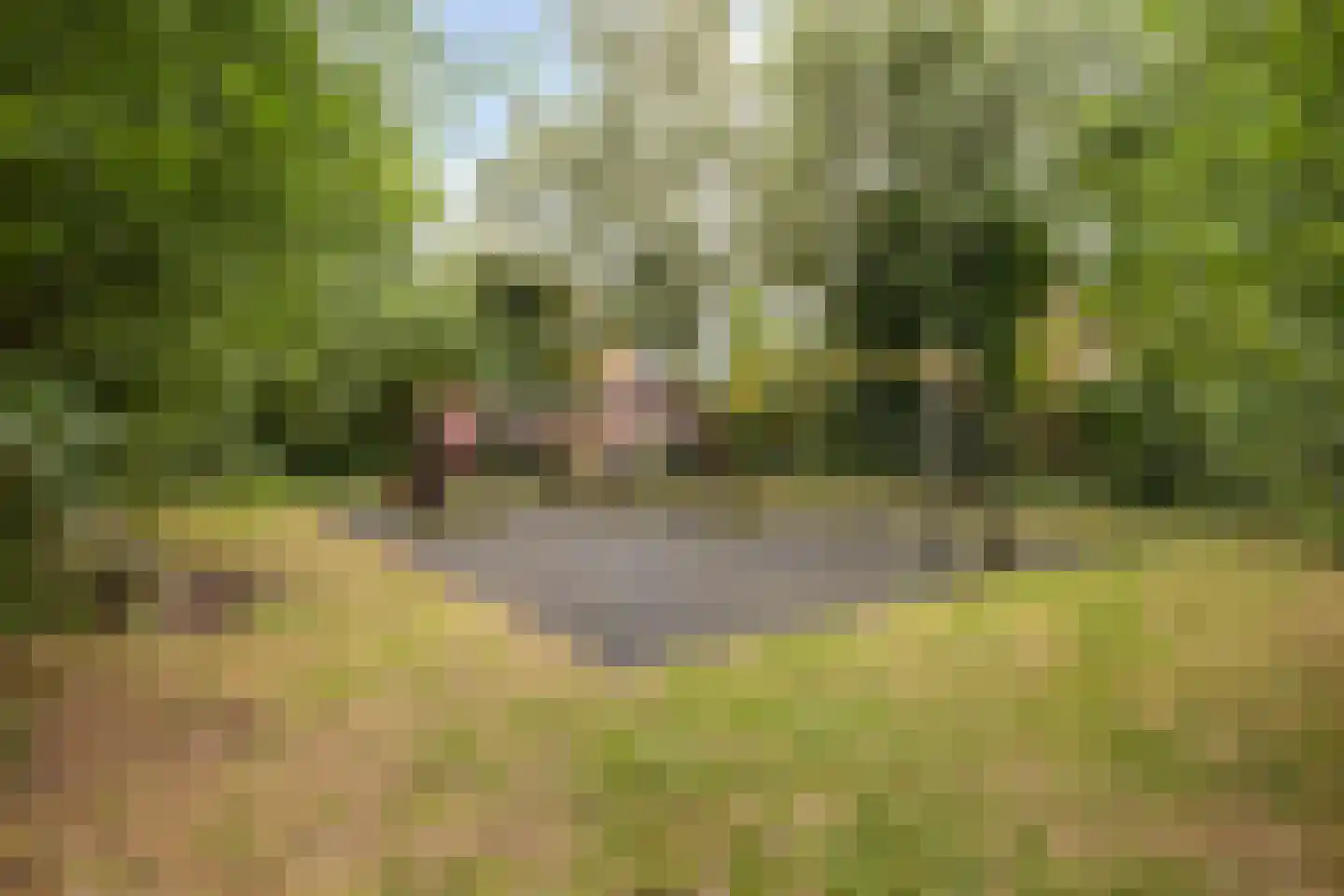 Minne Jeltesstrjitte 3 Balk thumbnail 29