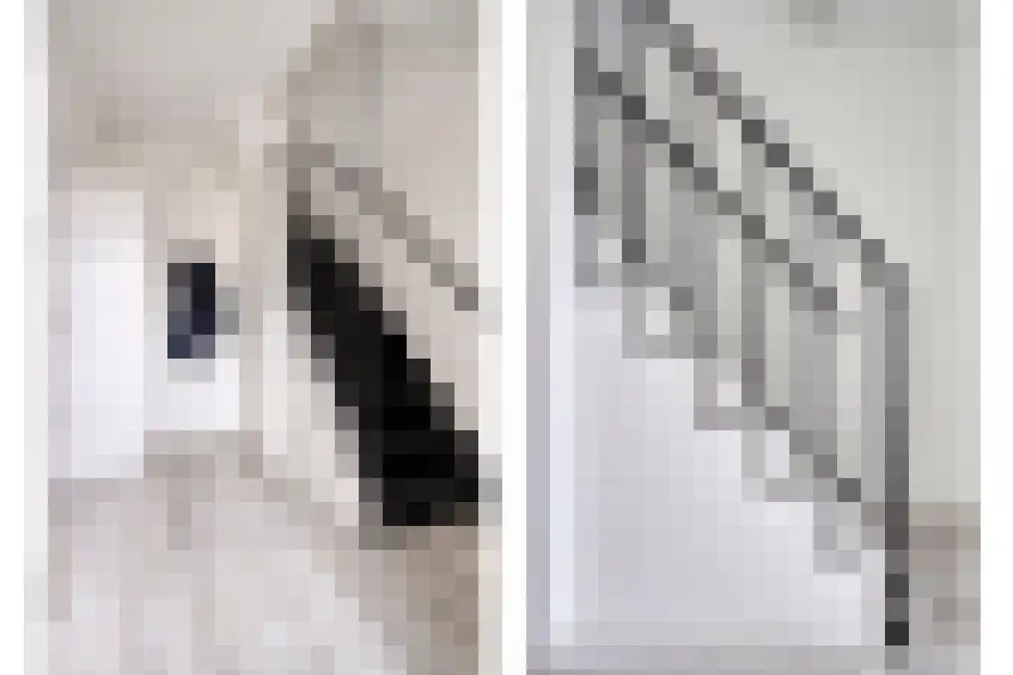 Minne Jeltesstrjitte 3 Balk thumbnail 7