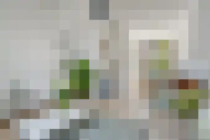 Minnebroersgracht 10 Leiden thumbnail 15