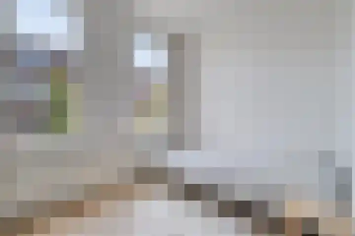 Minnebroersgracht 10 Leiden thumbnail 21