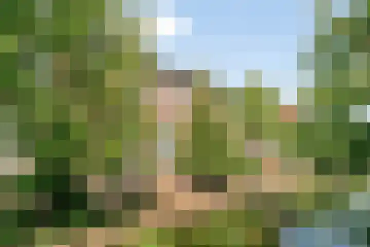 Minnebroersgracht 10 Leiden thumbnail 26