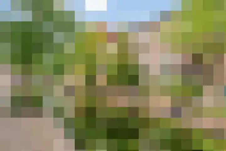 Minnebroersgracht 10 Leiden thumbnail 7