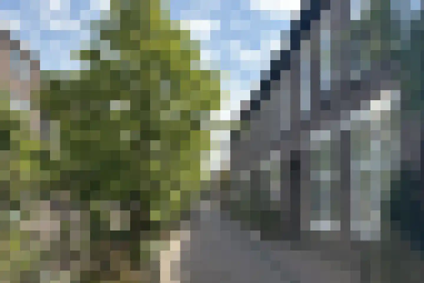 Minnebroersgracht 14 Leiden thumbnail 10