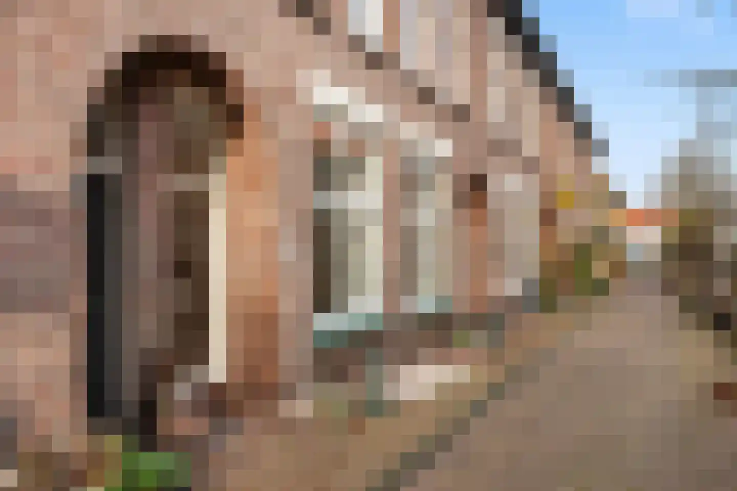 Minnebroersgracht 14 Leiden thumbnail 11