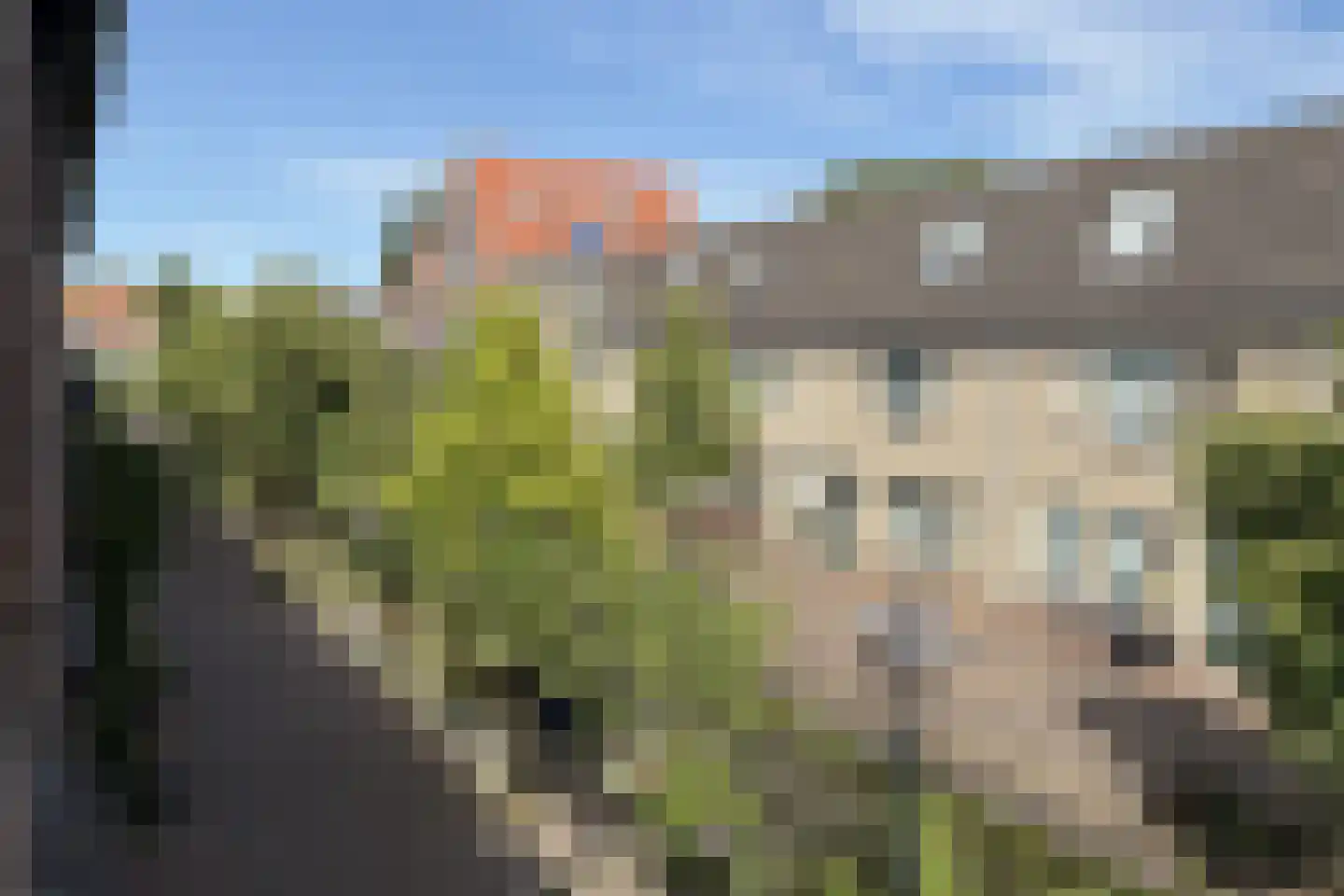Minnebroersgracht 14 Leiden thumbnail 31