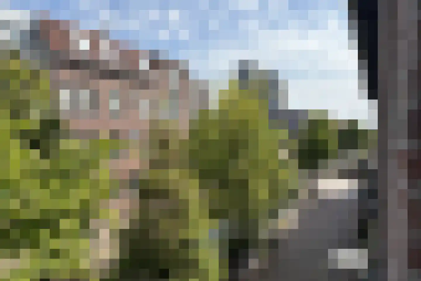 Minnebroersgracht 14 Leiden thumbnail 32