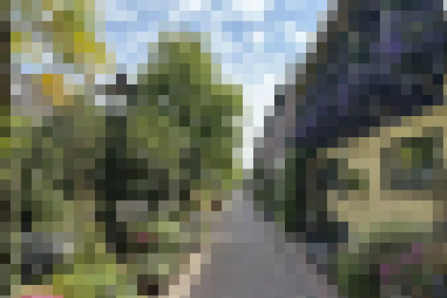Minnebroersgracht 14 Leiden thumbnail 40
