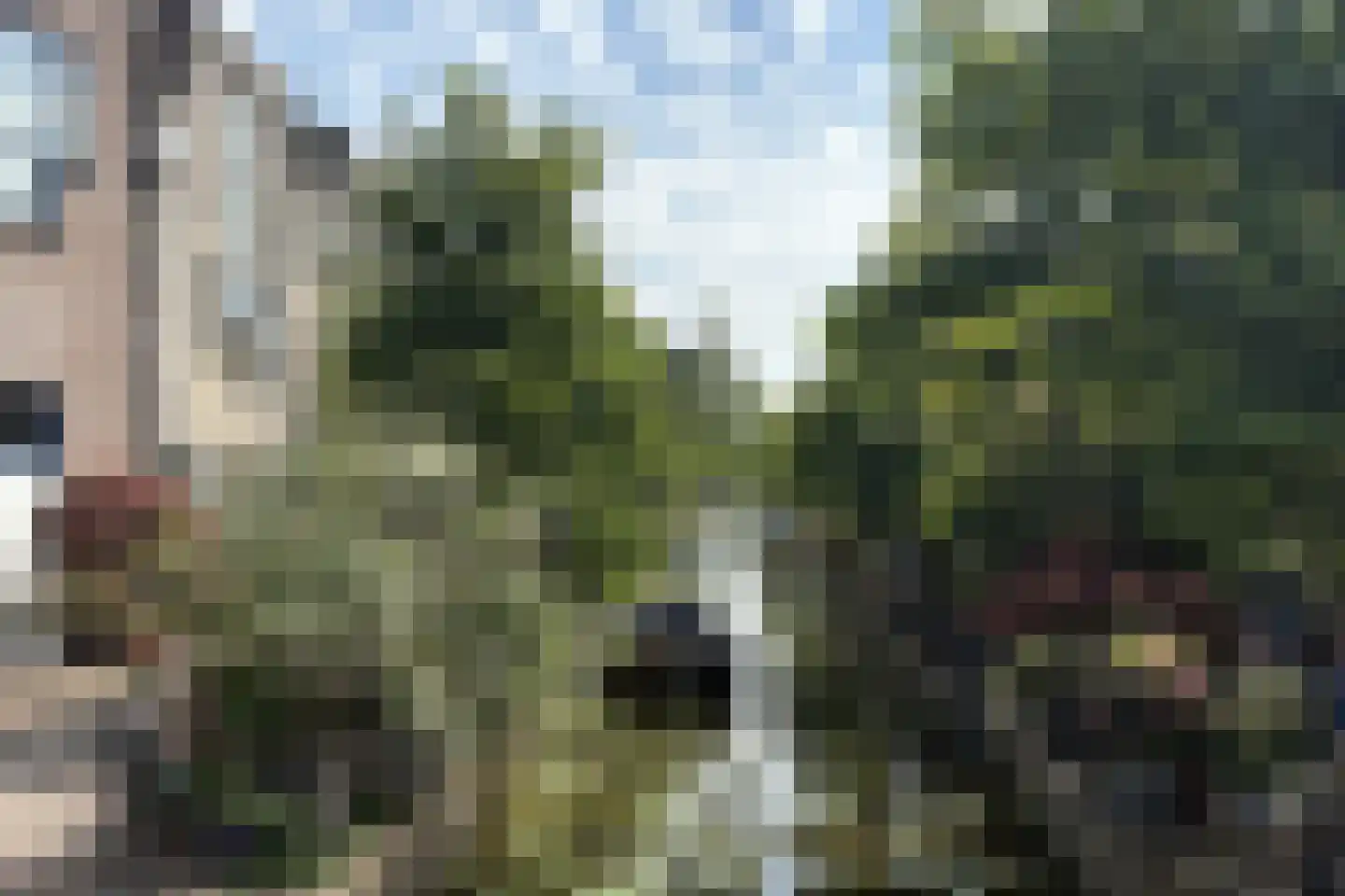 Minnebroersgracht 14 Leiden thumbnail 41