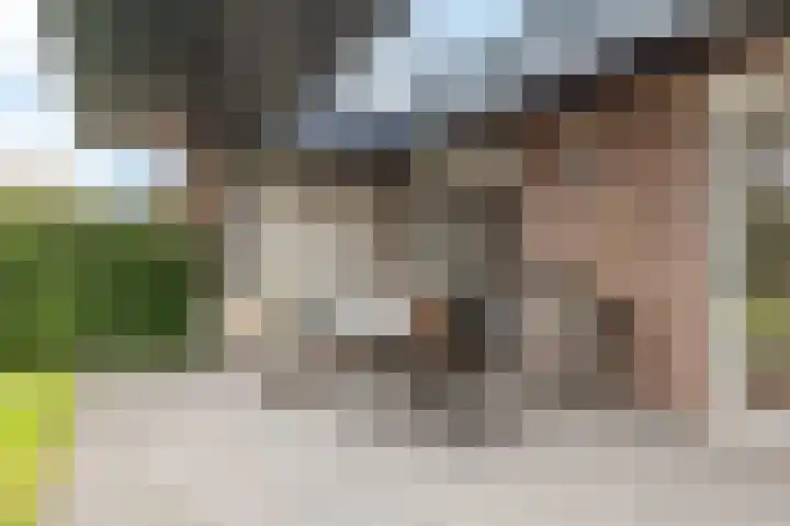 Minnegardsweg 10 Voerendaal thumbnail 24