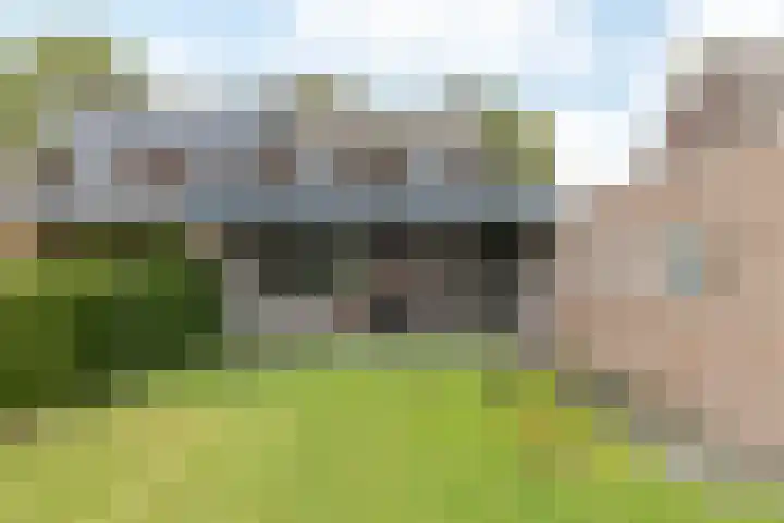 Minnegardsweg 10 Voerendaal thumbnail 26