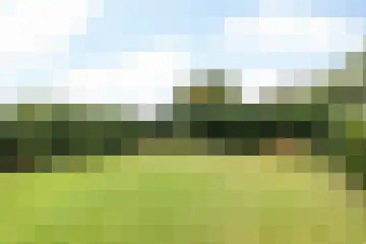 Minnegardsweg 10 Voerendaal thumbnail 28