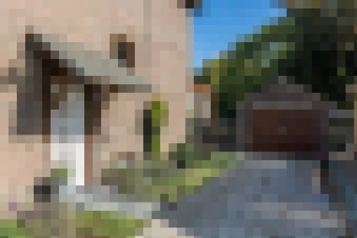 Minnegardsweg 5 Voerendaal thumbnail 5