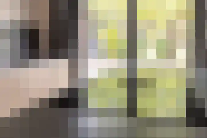 Minnelingsebrugstraat 10 Achtmaal thumbnail 11