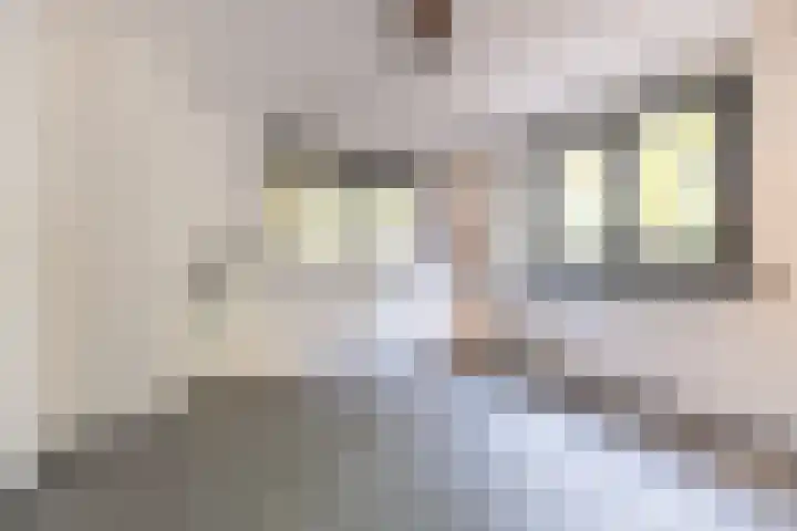 Minnelingsebrugstraat 10 Achtmaal thumbnail 22