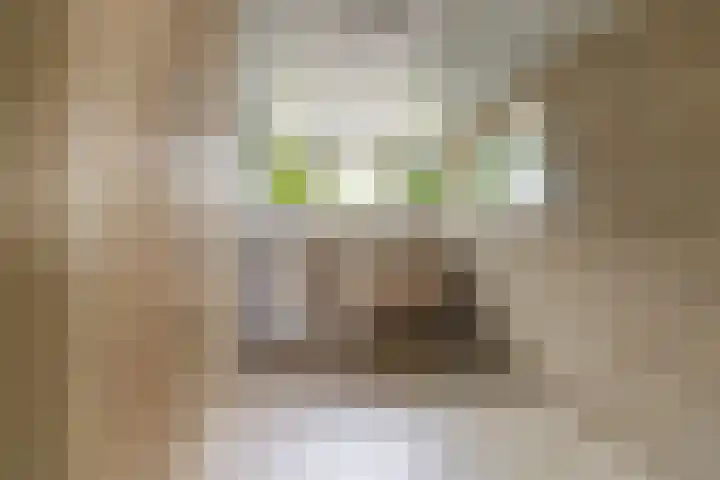 Minnelingsebrugstraat 10 Achtmaal thumbnail 5