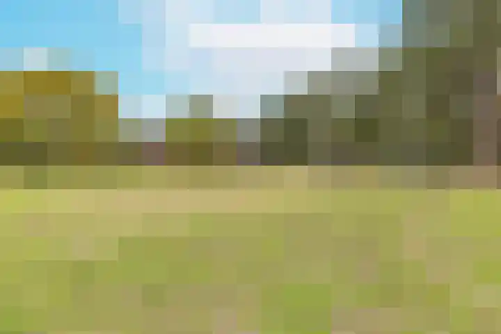 Minnelingsebrugstraat 10 Achtmaal thumbnail 50
