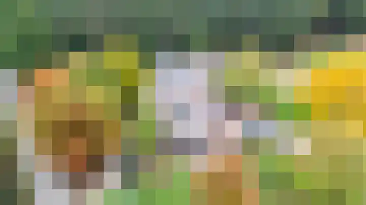 Minnelingsebrugstraat 10 Achtmaal thumbnail 6