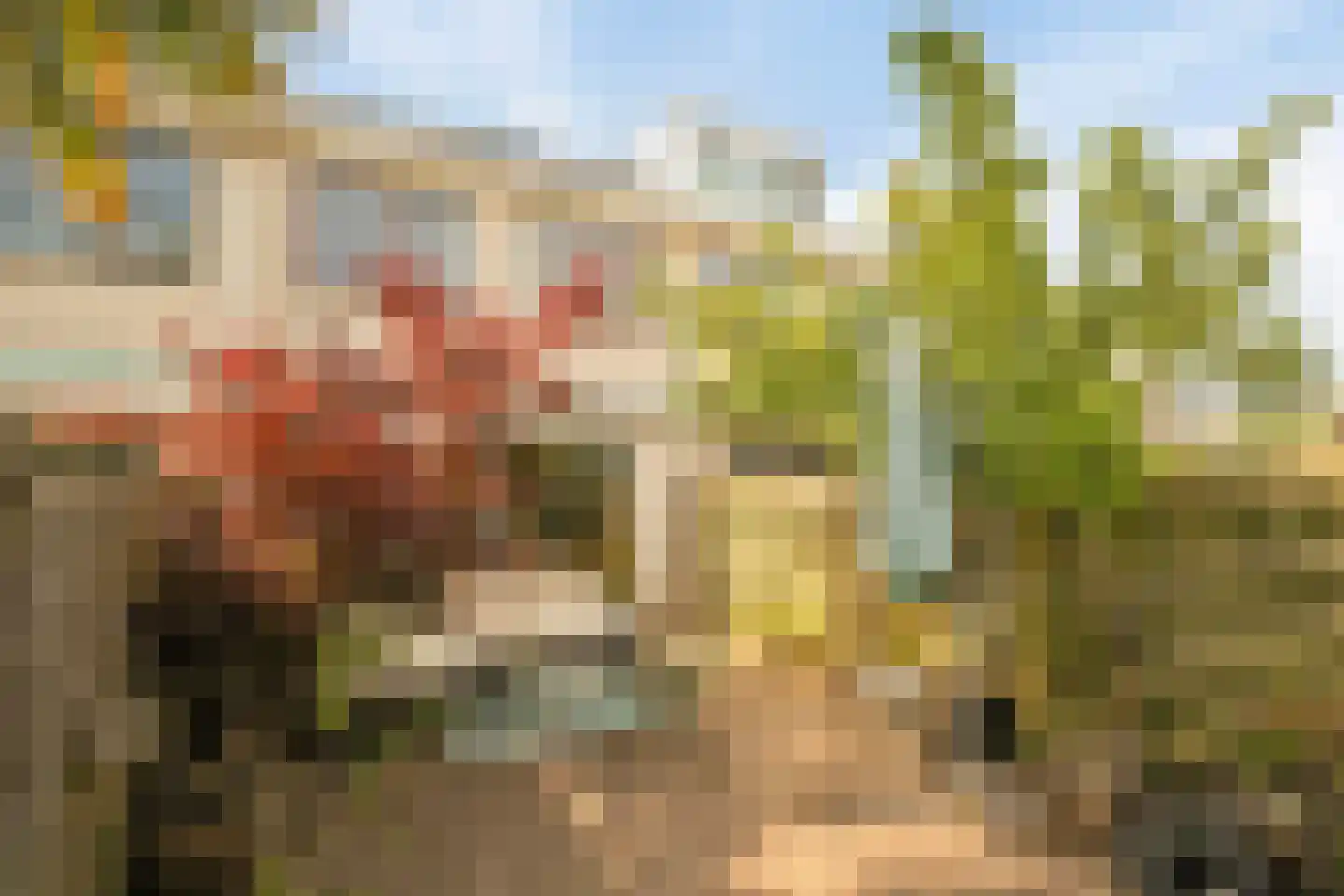 Minnellistraat 24 Almere thumbnail 26