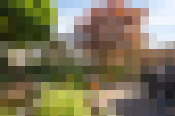 Minnellistraat 34 Almere thumbnail 22