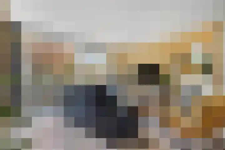 Minnellistraat 34 Almere thumbnail 8