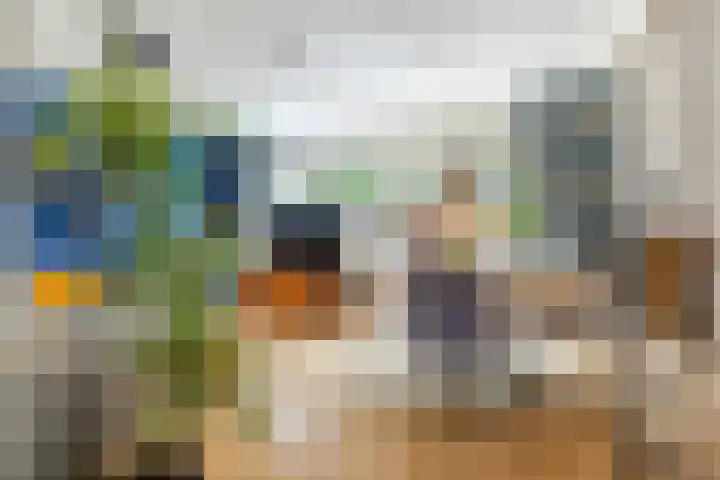 Minnemansakker 12 Breda thumbnail 12