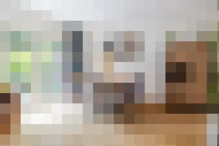 Minnemansakker 12 Breda thumbnail 14