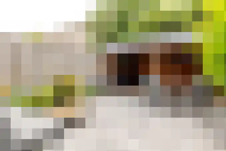 Minnemansakker 12 Breda thumbnail 20