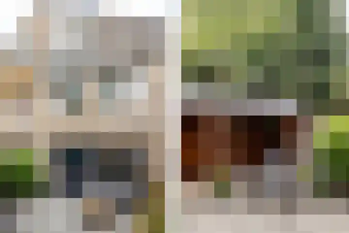 Minnemansakker 12 Breda thumbnail 23