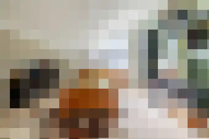 Minnemansakker 12 Breda thumbnail 36