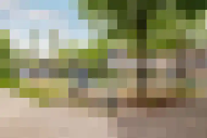 Minnemansakker 12 Breda thumbnail 37