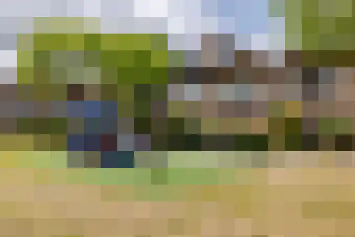 Minnemansakker 12 Breda thumbnail 38
