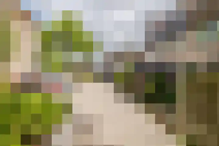 Minnemansakker 12 Breda thumbnail 39